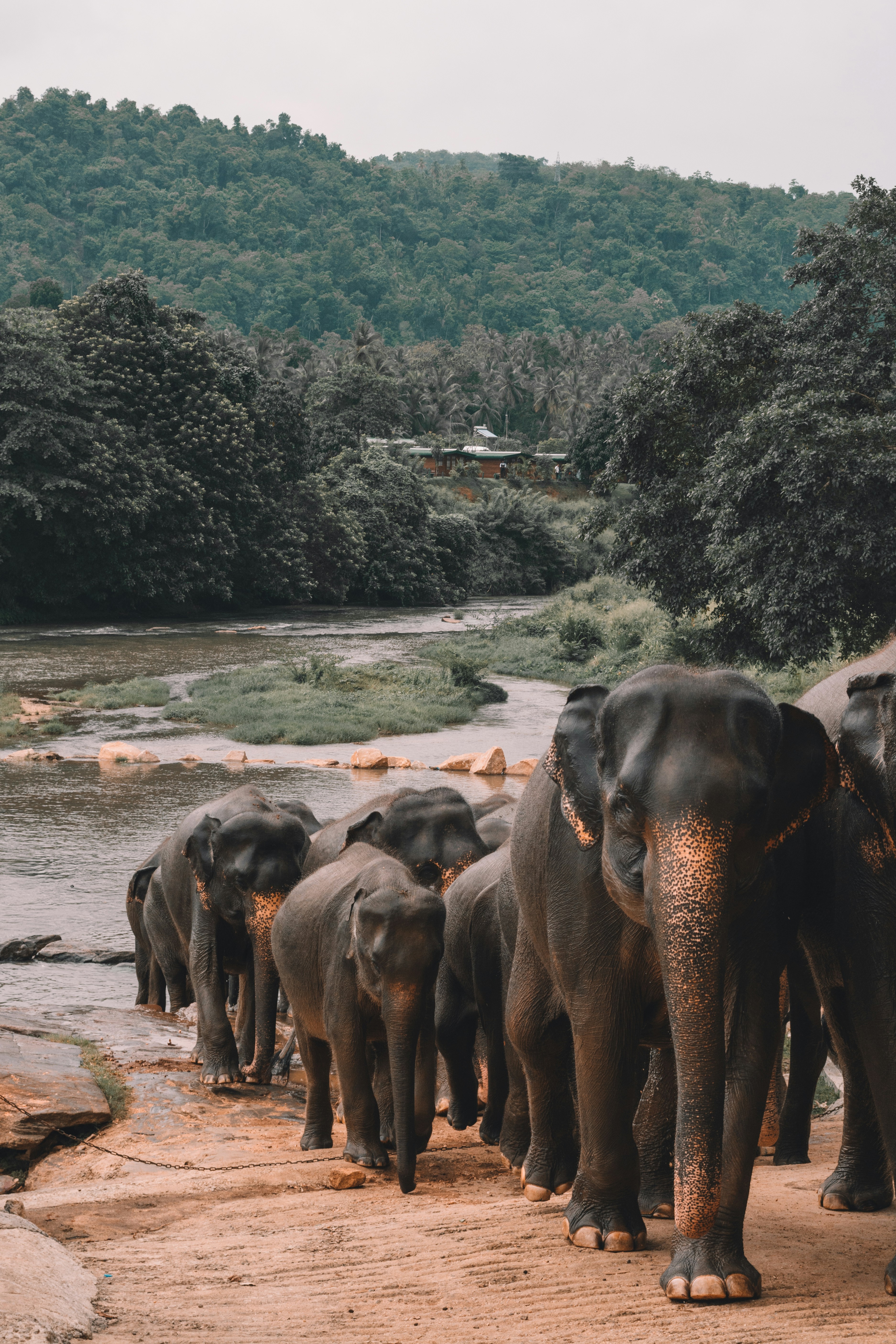 12-Day Grand Sri Lanka Adventure